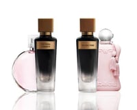 مجموعة عطر ذا فاينال تشانس و دلينا بينك