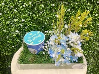 السحر الأزرق / القاعدة أكريليك تحتوى زهور الأقحوان...