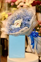 هدوء الأزرق : جبسوفيليا زرقاء وشوكلاتة بلجيكا أنوش