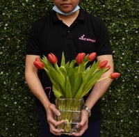 فازة توليب أحمر أنيقة