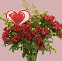 فرحة قرمزي في زجاج