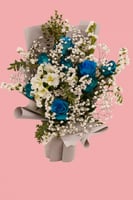 باقة سحابة الأحلام