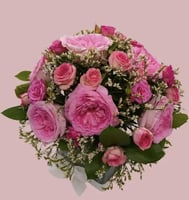 شمس الاحتفال ورد بيبي و ورد ورديه