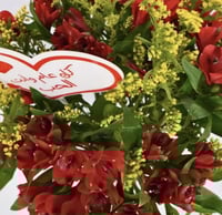 فرحة قرمزي في زجاج