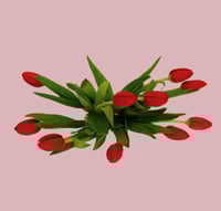 فازة توليب أحمر أنيقة