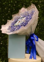 هدوء الأزرق : جبسوفيليا زرقاء وشوكلاتة بلجيكا أنوش