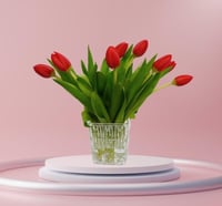 فازة توليب أحمر أنيقة