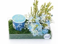 السحر الأزرق / القاعدة أكريليك تحتوى زهور الأقحوان...