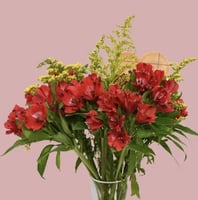 فرحة قرمزي في زجاج