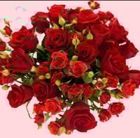 ورود حمراء وكيكة اني داني كيكة الصغيرة