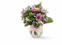 حلم رقيق في إناء