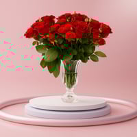 شمس الاحتفال /ورد بيبي ورد وردية