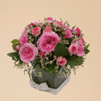 شمس الاحتفال ورد بيبي و ورد ورديه