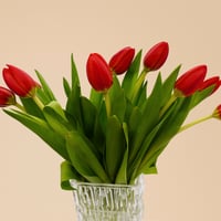 فازة توليب أحمر أنيقة