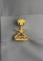 الأكثر فخامة بروش سيفين ونخلة