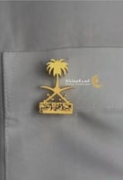 الأكثر فخامة بروش سيفين ونخلة