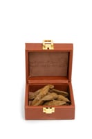 عود المطانيخ