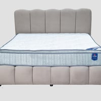 مرتبة سلمبر بلص