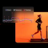 سوار هاين ڤيتا | Hain vita bracelet