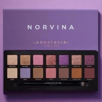 انستازيا بيفرلي هيلز - باليت ظل عيون نورفينا - 14...