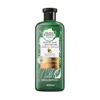 هيربل ايسنسز – شامبو الصبار وزيت الأفوكادو للشعر ا...