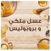 غارنييه - كريم الشعر الترا دوكس بالعسل الملكي - 20...