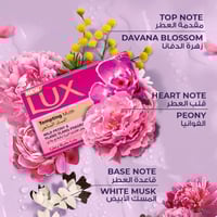 لوكس - صابون المسك الساحر - 120 جم