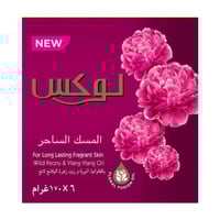 لوكس - صابون المسك الساحر - 170 جم
