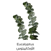 لوريال باريس - غسول جل منظف بالطين النقي للبشرة ال...