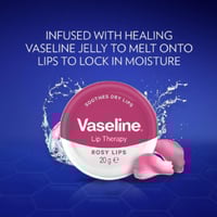 فازلين - مرطب ومورد للشفاه بالورد - 20 جرام - Vase...