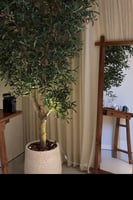 مرايا أرضية كلاسيك من الخشب الطبيعي – فخامة خالدة...