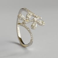 رقصة الفراشة