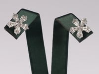 أميرة الورد