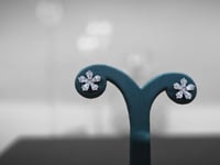 أميرة الورد