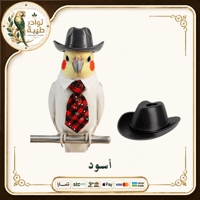 أسود