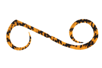 Jackal Nektie Curly 4pc/bag/ شرائط جاكال برائحة وط...