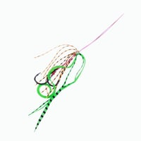 أسست جقات متحركه من LEAD جقنق