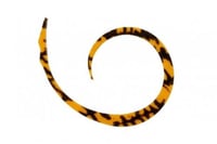 Jackal Nektie Curly 4pc/bag/ شرائط جاكال برائحة وط...