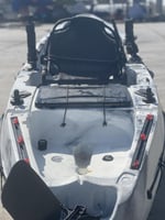 كياك الدلفين