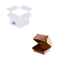 كرتون 300 حبة