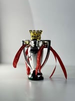 كاس دوري بريميرليج