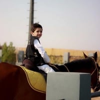 سديري مُطعم بالسيفين والنخله