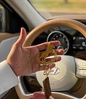 تعليقه سيارة سيفين ونخله