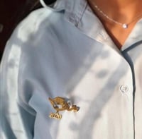 بروش تخرج بالإسم