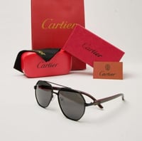 نظارة شمسية كارتير الإصدار الجديد 2025