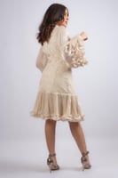 فستان رقة الدانتيل الملكي