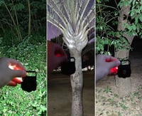 مصباح يدوي صغير 800 لومن فائق السطوع قابل لاعادة ا...