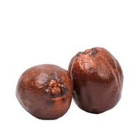 الدوم / تفاحة ادم