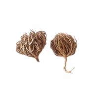 كف مريم - 100 جرام