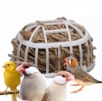 علبة خيوط عش الكناري والزيبراء